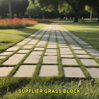 supplier grass block